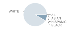 Harrison Elementary School Student Race Distribution