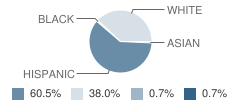 Washington Elementary School Student Race Distribution