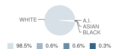 Havana High School Student Race Distribution