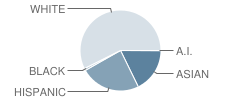 Hawthorn Townline Elementary School Student Race Distribution