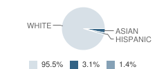 Walker School Student Race Distribution