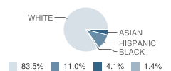 F E Peacock Middle School Student Race Distribution