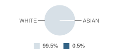 Jasper County Jr High School Student Race Distribution