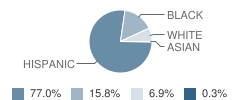 Parks Elementary School Student Race Distribution