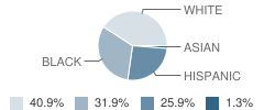 Thomas Jefferson Elementary School Student Race Distribution