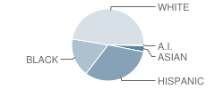 Komarek Elementary School Student Race Distribution