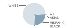 Northwest Elementary School Student Race Distribution