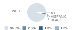 Paw Paw High School (Junior / Senior) Student Race Distribution