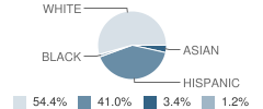 East Leyden High School Student Race Distribution