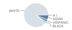 Libertyville High School Student Race Distribution