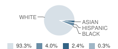 Ludwig Elementary School Student Race Distribution