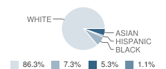 Macomb Junior High School Student Race Distribution