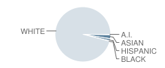 Mahomet-Seymour Jr High School Student Race Distribution