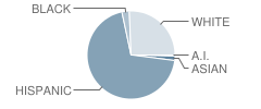 Roy Elementary School Student Race Distribution