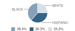 Fieldcrest Elementary School Student Race Distribution