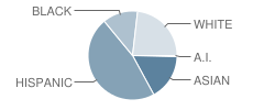 Black Hawk Elementary School Student Race Distribution