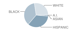 Central Park Elementary School Student Race Distribution