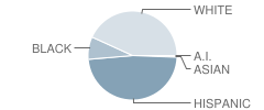 Lincoln-Irving Elementary School Student Race Distribution