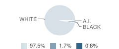 Morrisonville High School Student Race Distribution