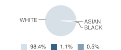 Mount Pulaski High School Student Race Distribution