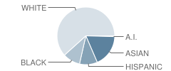 Jefferson Jr High School Student Race Distribution