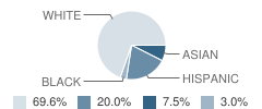 Maplebrook Elementary School Student Race Distribution