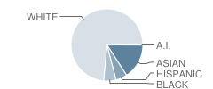 Naperville North High School Student Race Distribution