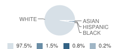 Nashville Community High School Student Race Distribution