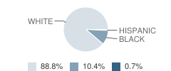 Carlock Elementary School Student Race Distribution