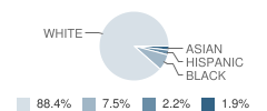 Prairieland Elementary School Student Race Distribution