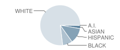 H H Conrady Jr High School Student Race Distribution