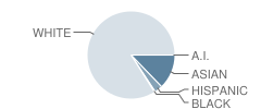 Glenbrook North High School Student Race Distribution