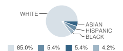 Century Junior High School Student Race Distribution