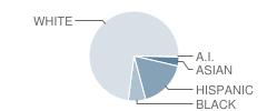 Traughber Jr High School Student Race Distribution