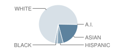 Plum Grove Jr High School Student Race Distribution