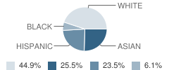 Willow Bend Elementary School Student Race Distribution