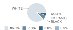 Franklin Elementary School Student Race Distribution