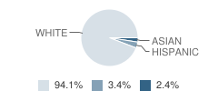 George Washington Elementary School Student Race Distribution