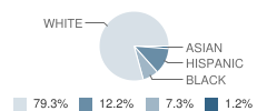 Northview Elementary School Student Race Distribution