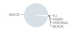 Pinckneyville Community High School Student Race Distribution