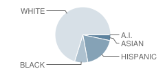 Plainfield High School Student Race Distribution