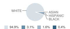 Washington Elementary School Student Race Distribution