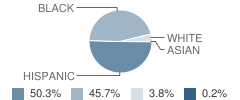 Kellar School Student Race Distribution