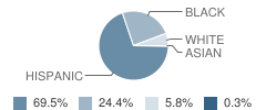 Gordon School Student Race Distribution