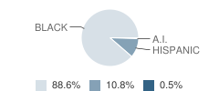 Childs Elementary School Student Race Distribution