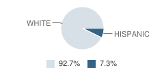 Princeville High School Student Race Distribution