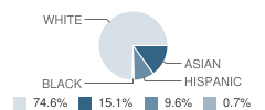 Indian Grove Elementary School Student Race Distribution