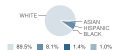 Roselle Middle School Student Race Distribution