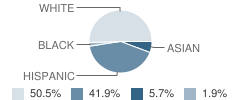 Washington Elementary School Student Race Distribution