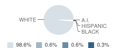 Shelbyville High School Student Race Distribution